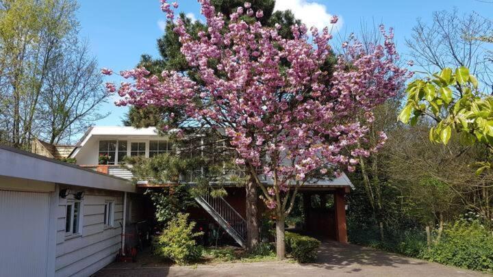 Welcome In - Appartement - Valkenisseweg 68 L Biggekerke 'Strand Appartement' Εξωτερικό φωτογραφία